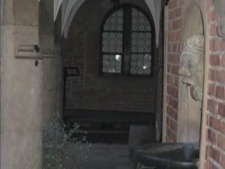 Kraków, Collegium Maius