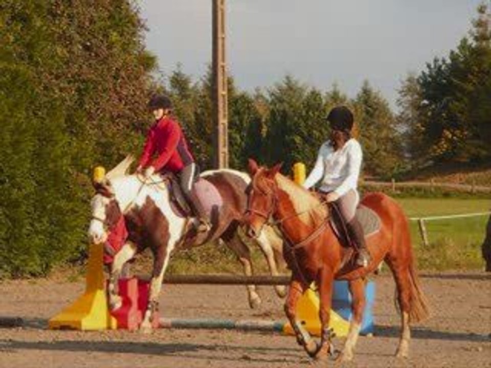 car on aime ces chevaux