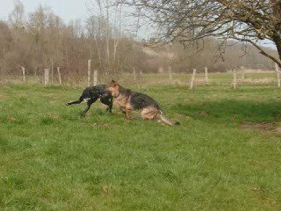 Mady et congo