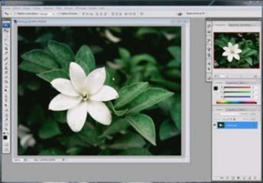 Tutoriel Photoshop: Dirigé le regard vers un endroit voulu