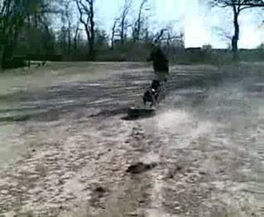 mouche et son nouveau harnais