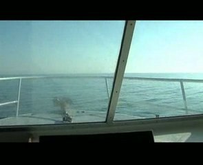 La biologie marine au laboratoire Arago de Banyul-sur-mer