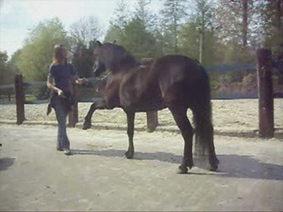 Jackie en Babette