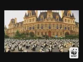 UN'INVASIONE DI PANDA WWF