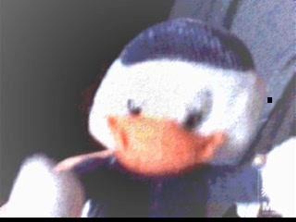 DECHEANCE D'UN CANARD