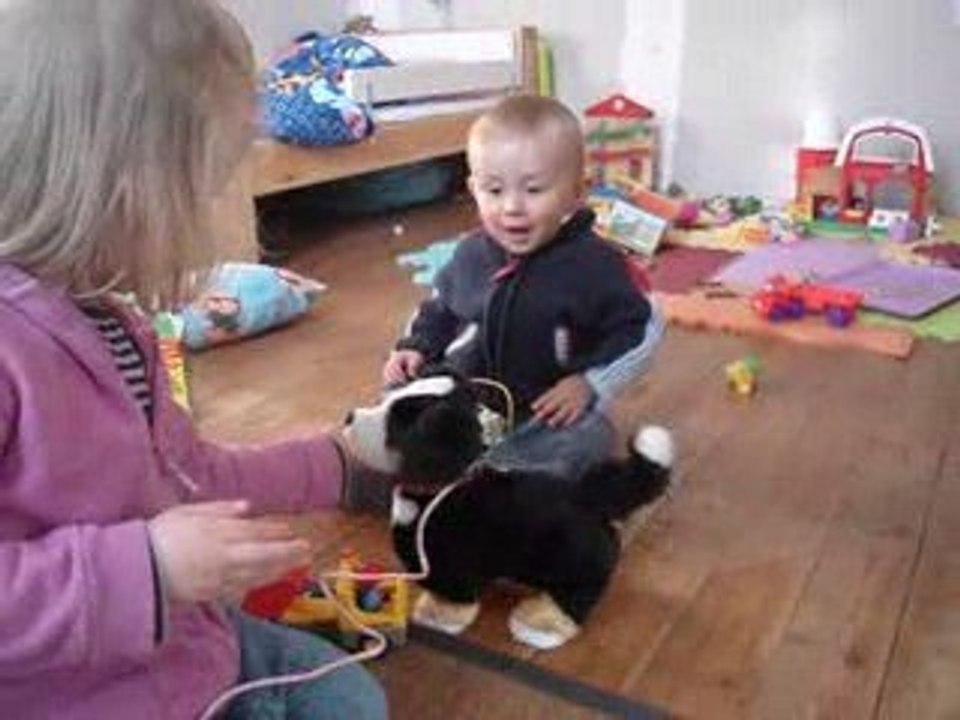 milan und sein hund
