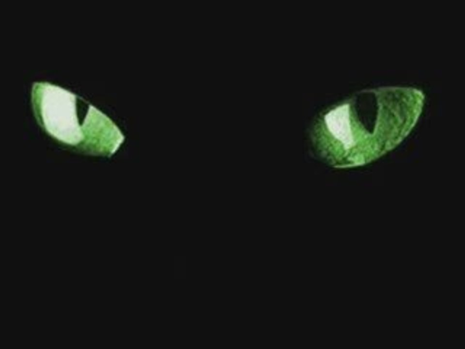 Samira - When I Look Into Your Eyes