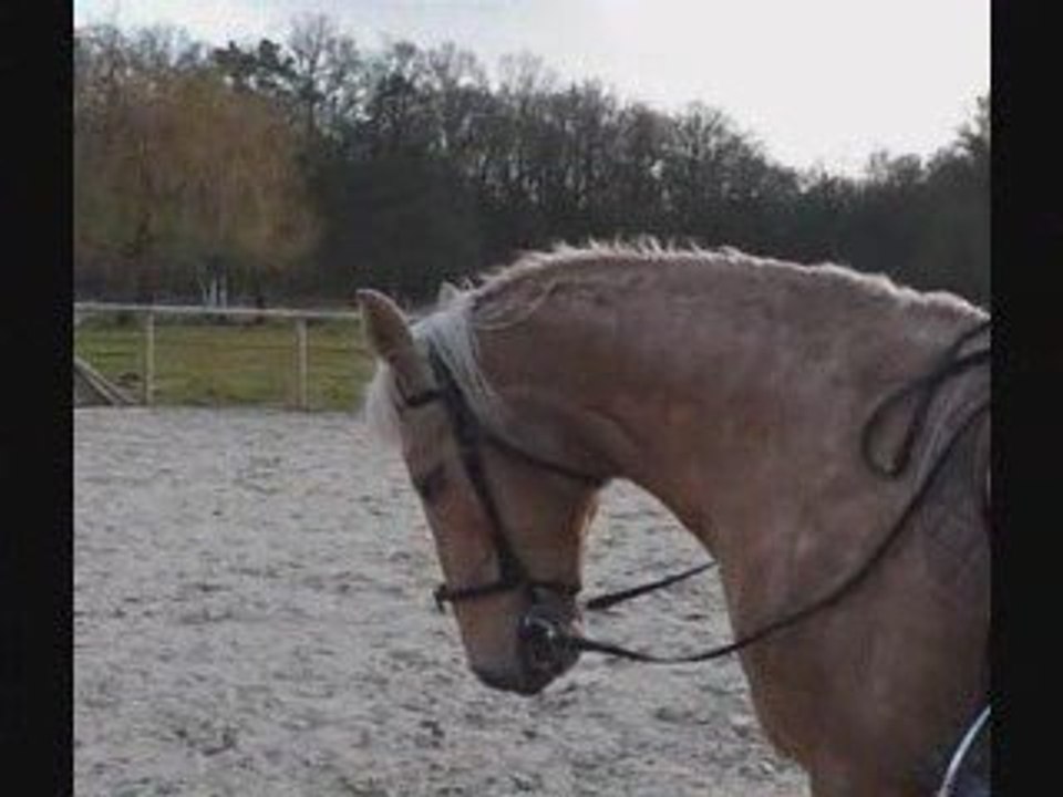 Caroube saute !!!