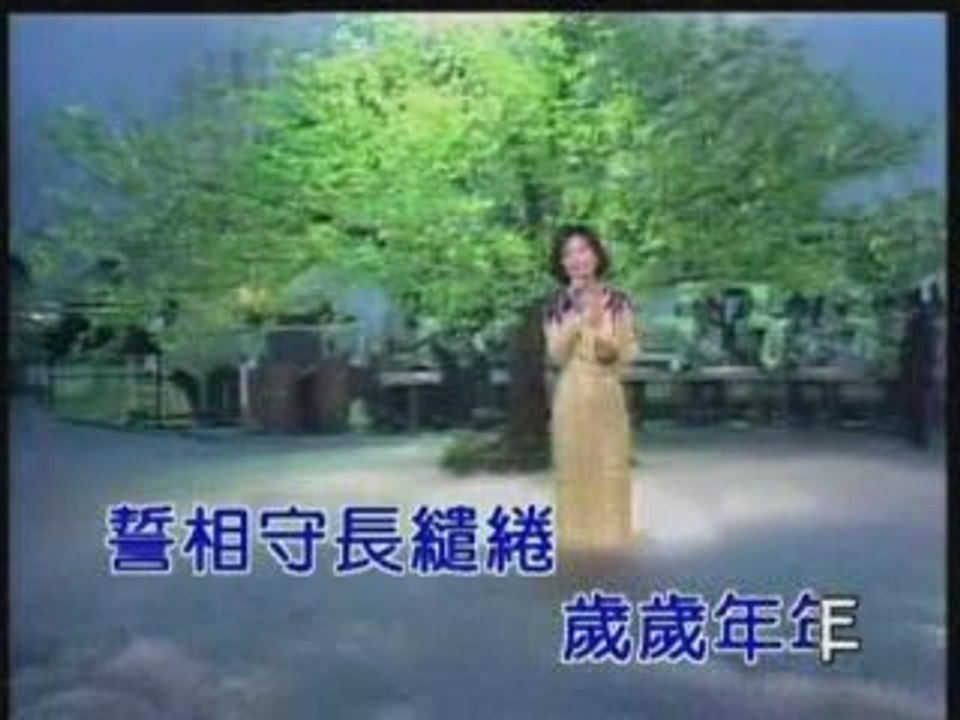 路邊野花不要採   小城故事   甜蜜蜜   我怎能離開你   奈何 原鄉人 鄧麗君