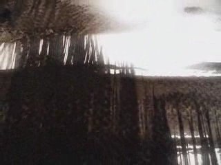 Les nouveaux rivages