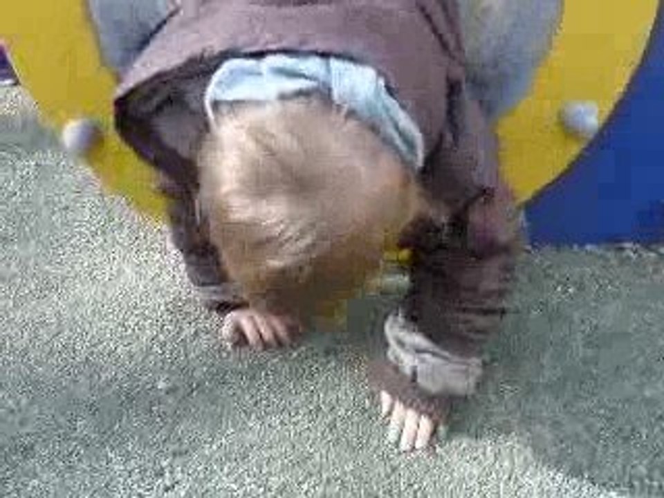 evan au parc