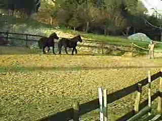 Iria et Joris 2eme fois