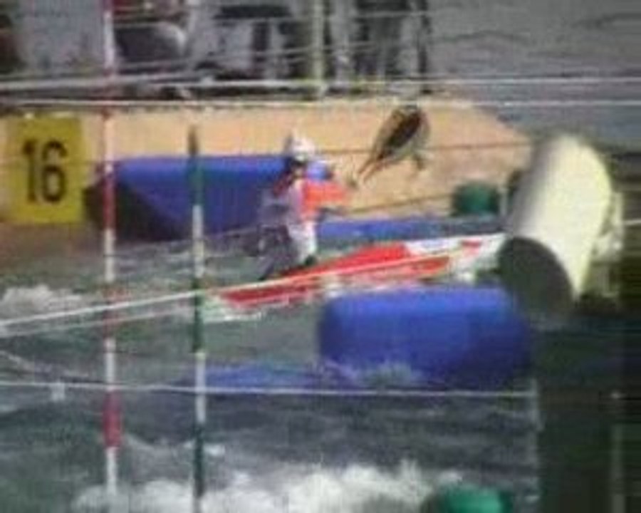 Frances Cergy 2008 Combot Hager Neveu Lefevre