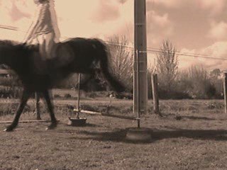 Epsy -- Saut d'obstacles --16-04-2009