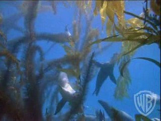 Deep Sea -sea lions brush their teeth