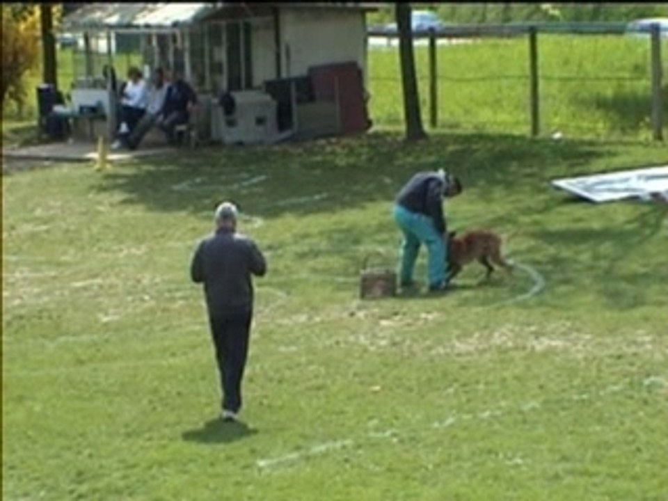 Valise TIL-K Sélectif RING 2009 Argenteuil