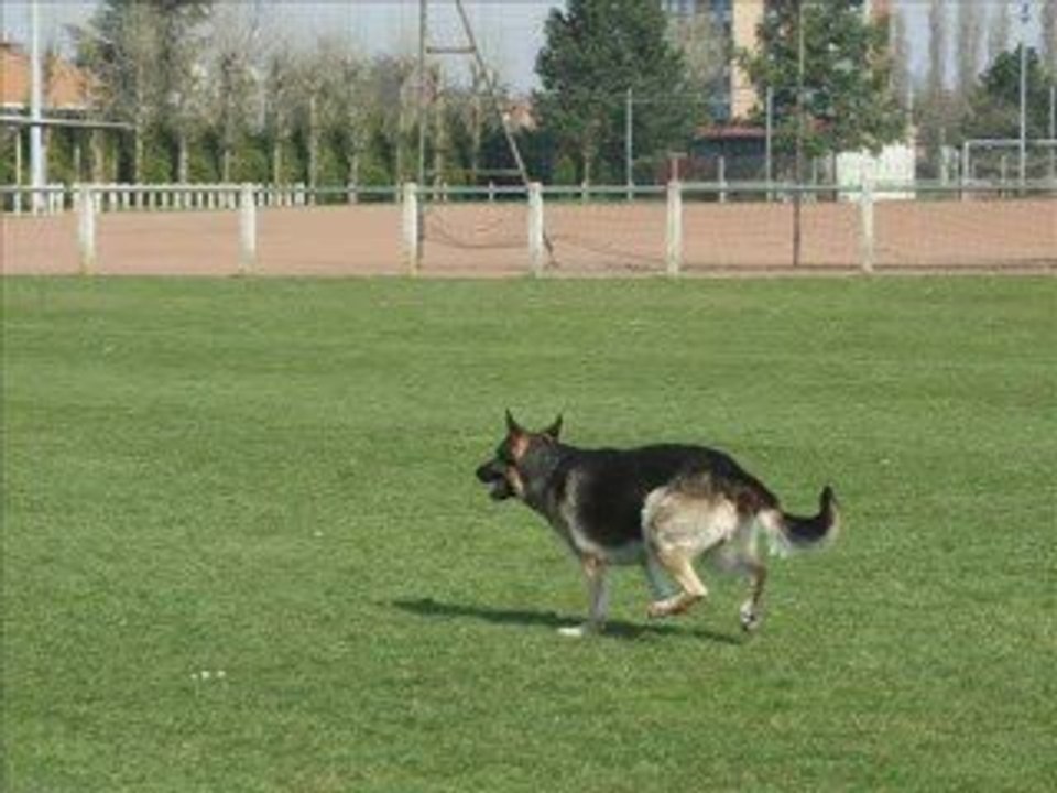 Entrainement obé 2009