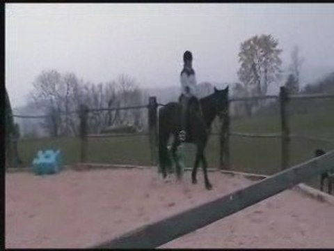 Omega, moi et l'éthologie