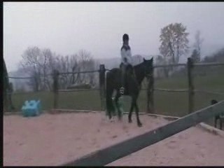 Omega, moi et l'éthologie