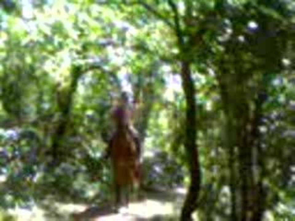 lecon4