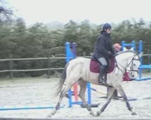 Stage CSO Dimanche 12 Avril