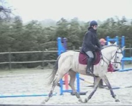 Stage CSO Dimanche 12 Avril