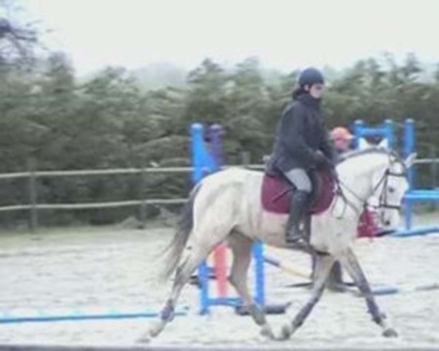Stage CSO Dimanche 12 Avril