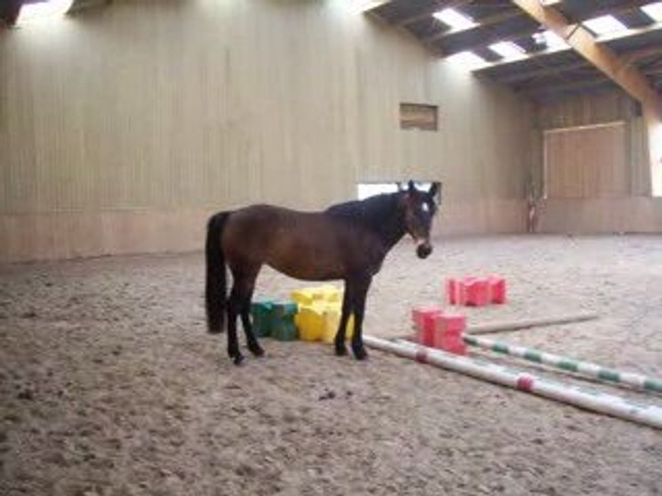 Un cheval sachant sauter...