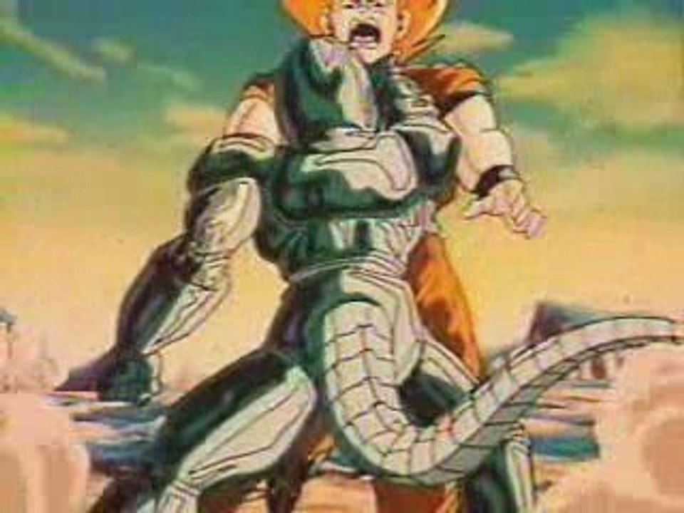 Sangoku Vegeta et metal-cooler VF