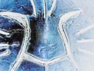 THIERRY SEGALL "A DOUBLE FACE"