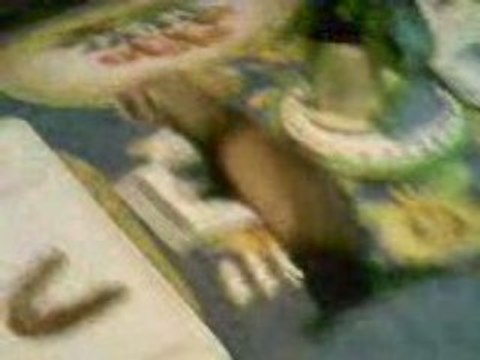 BIBOUNETTE MA FURETTE DE 6SEM