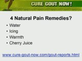 Get Gout Foot, Gout Knee and Gout Big Toe Relief.