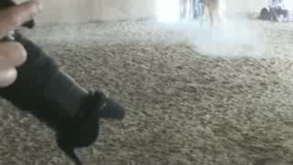 Tristan 60 cm Istres 15 03 09