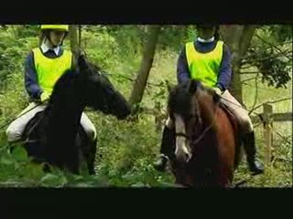 Talking horses