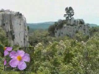 Les Gorges de la Petite Sainte Baume