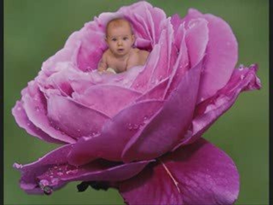 le monde des bebes