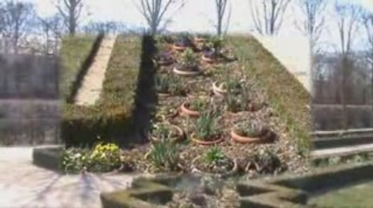 Versailles: Quand l'art et l'histoire se rencontrent