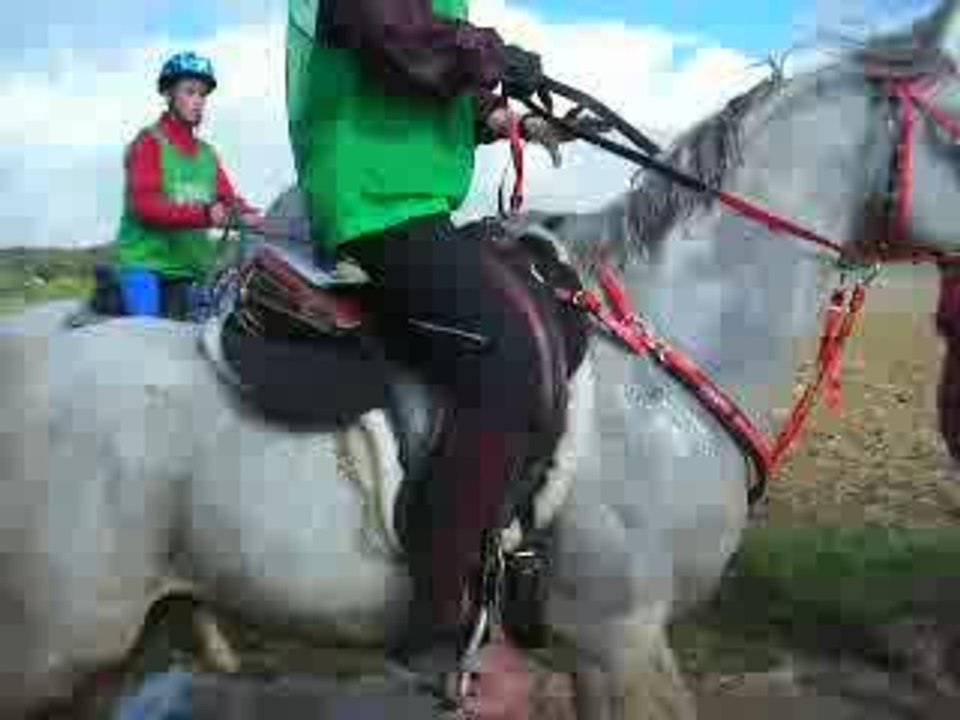 OSBORN UZES 2009 2EME