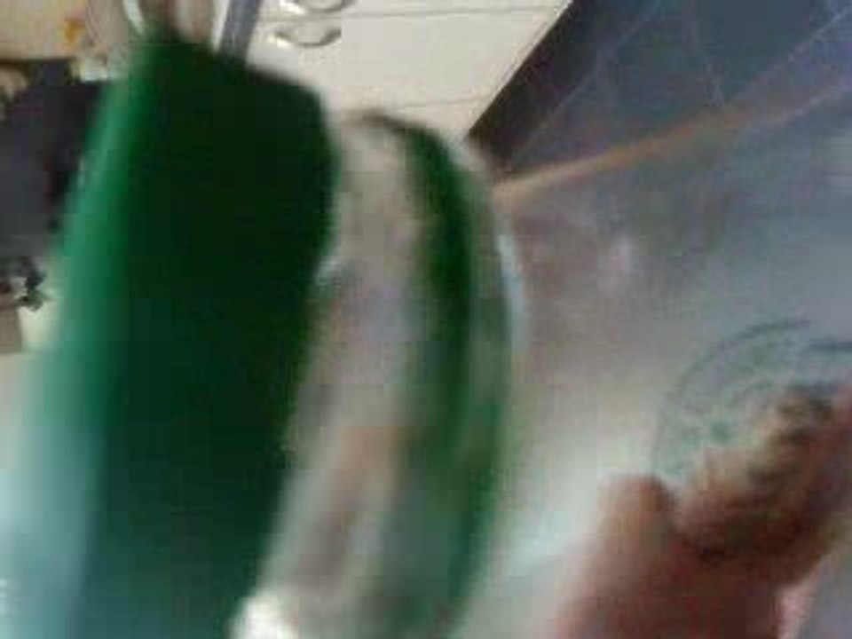 MOV00058