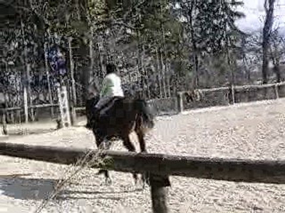 Vidéo First 4 *