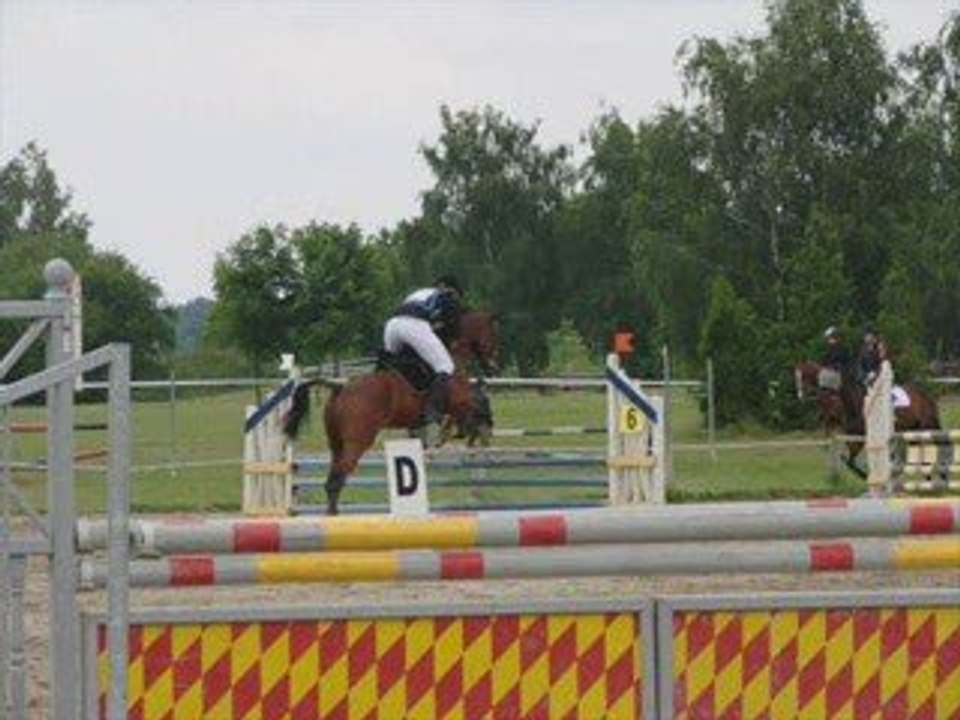 Cce du 15 juin 2008