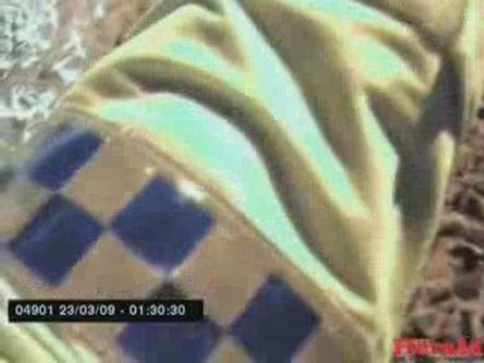 Un policier sauve des canetons d'une bouche d'égout