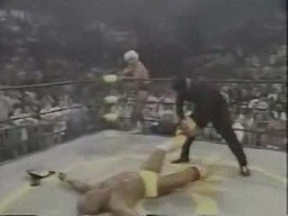 Ric Flair and The Masked Man Attack Hulk Hogan