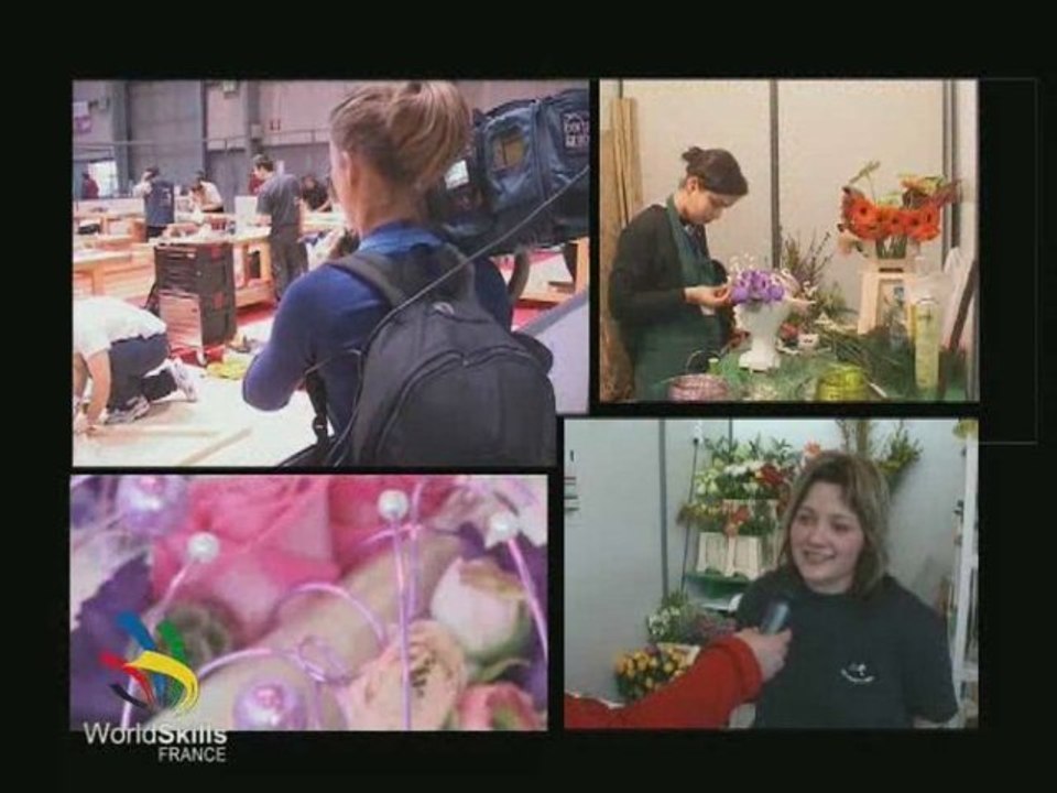 Les Finales Nationales des Olympiades des Métiers Lille 2009