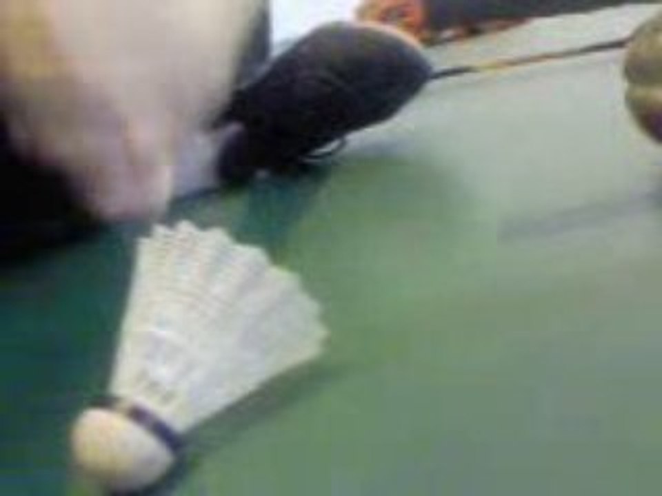 Les majorettes en sport