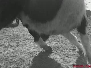 Seance photo avec les shet' de l'etrier d'argences