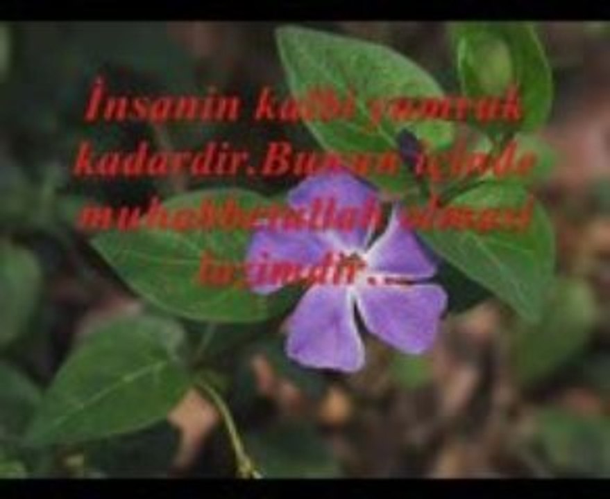 gavs'ı sani k.s hz lerinin sozleri