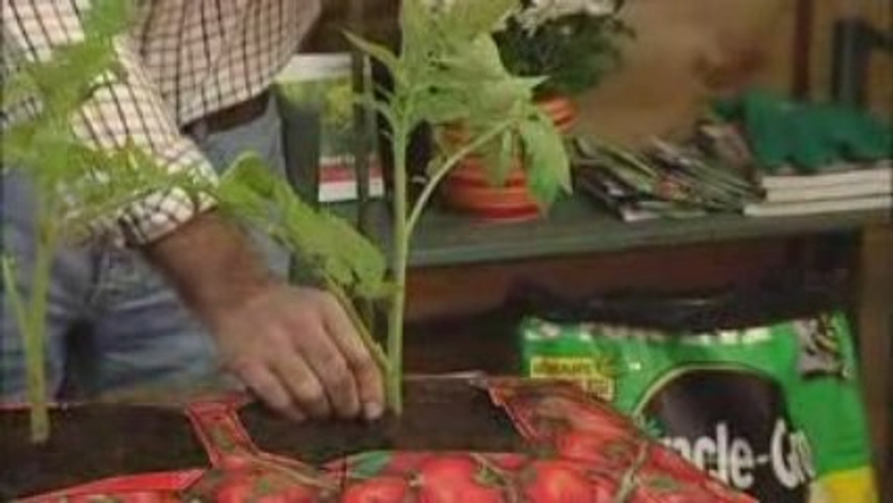 It's Time To Grow Your Own Pizza!