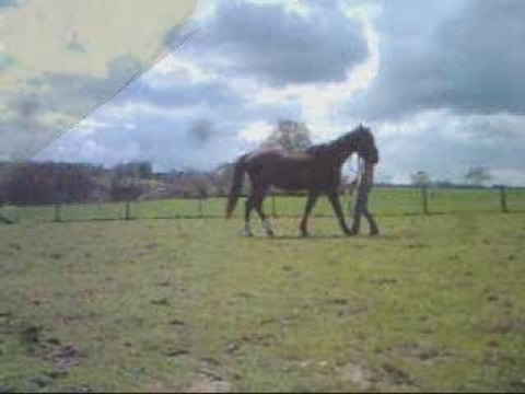 Début du pas espagnol d'Haribo