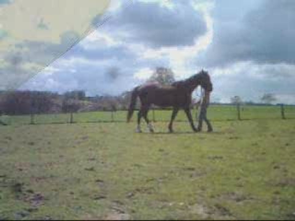 Début du pas espagnol d'Haribo